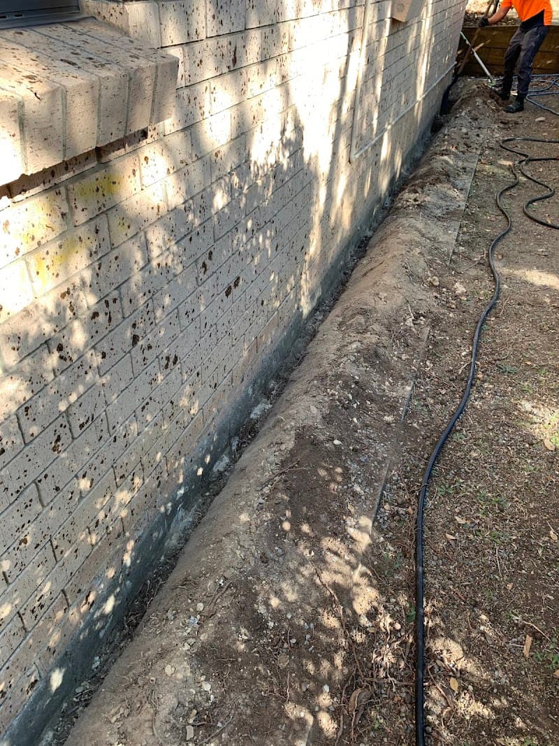 Vigilant Pest Control pest control work in Loganlea