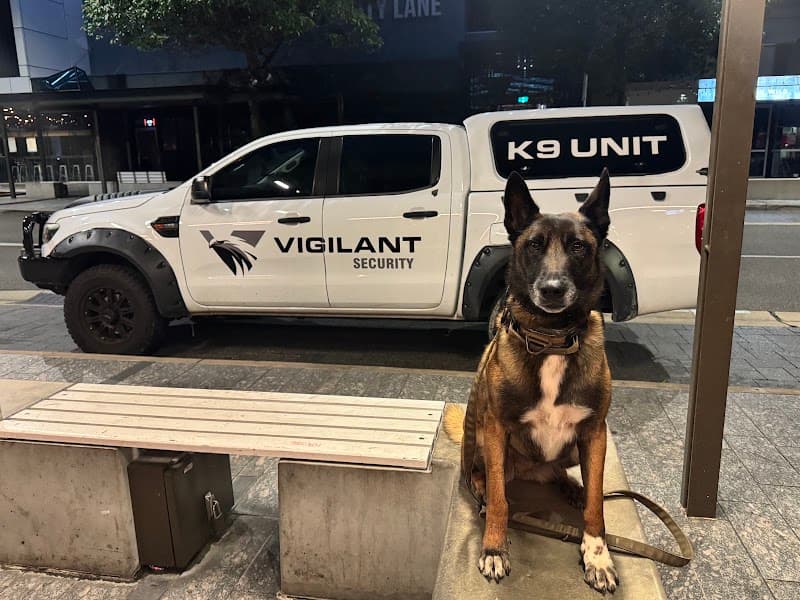 Vigilant Security & Investigation security & cctv work in Garbutt