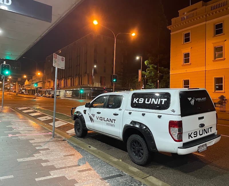 Vigilant Security & Investigation security & cctv work in Garbutt