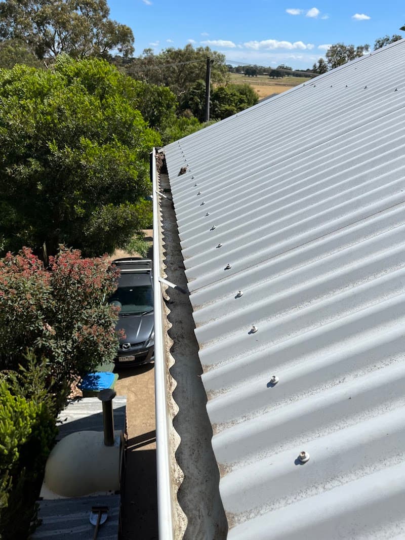 Vis a Vis Window Cleaning Mornington gutter cleaning work in Rye