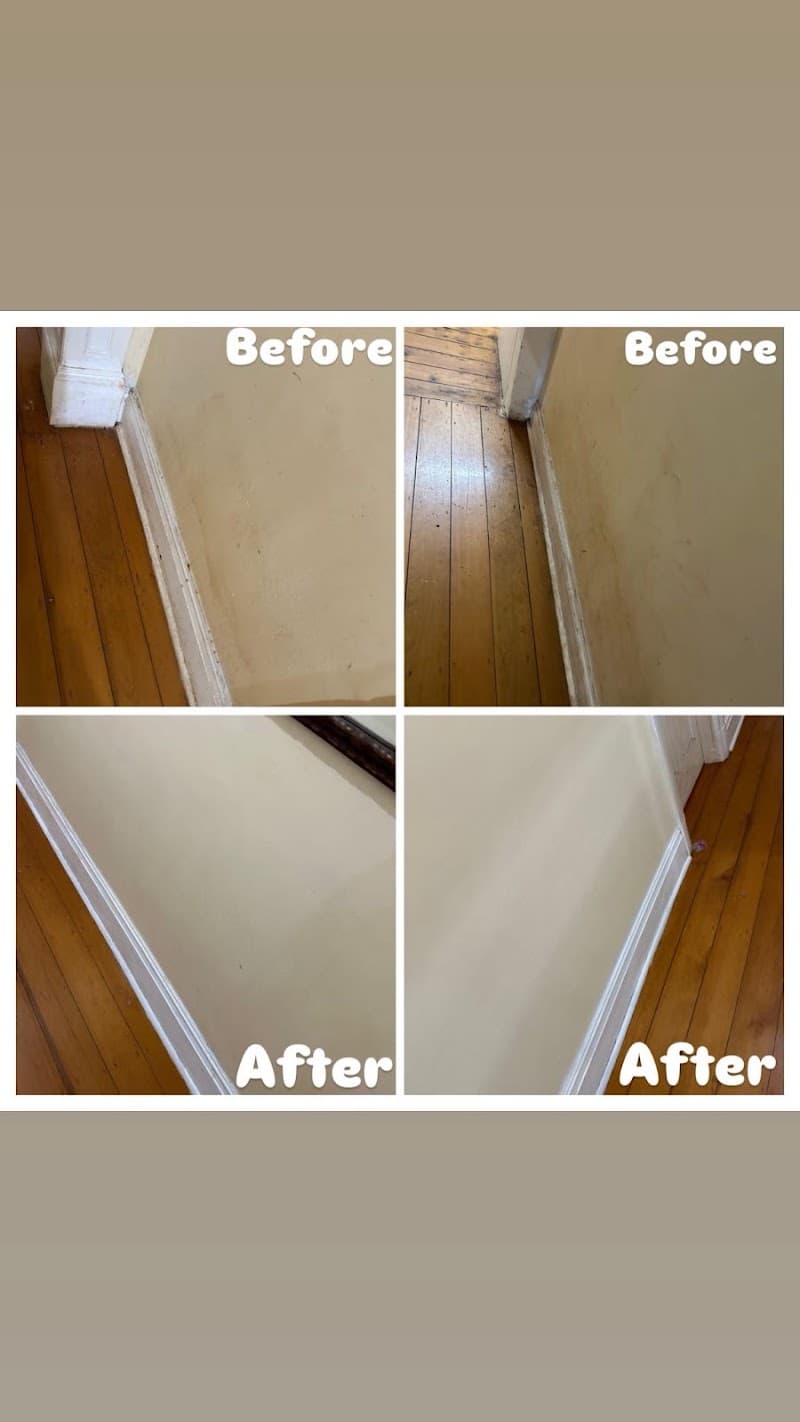 VMA PTY LTD carpet cleaning work in Glenvale