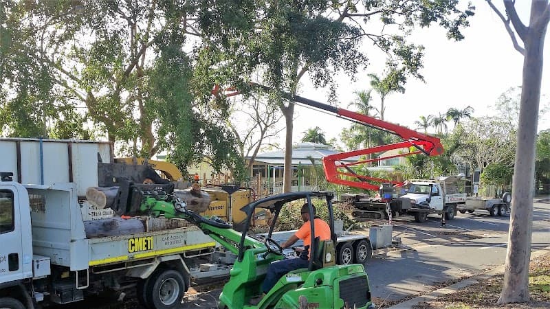 Wade's Tree Service tree services work in Nindaroo