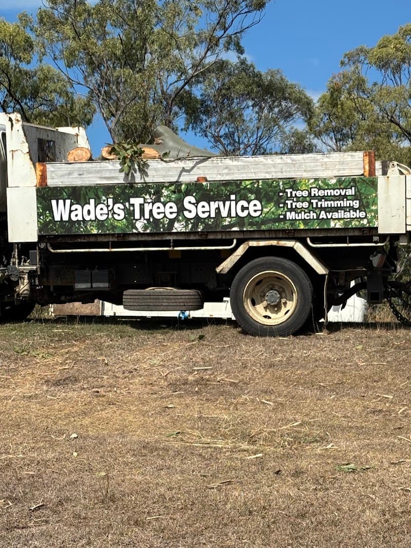Wade's Tree Service tree services work in Nindaroo