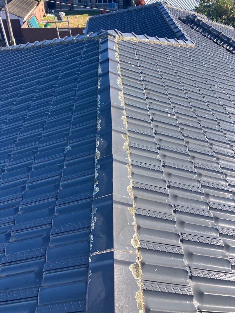 Wata-Blast Pressure and Soft Wash pressure washing work in Caringbah