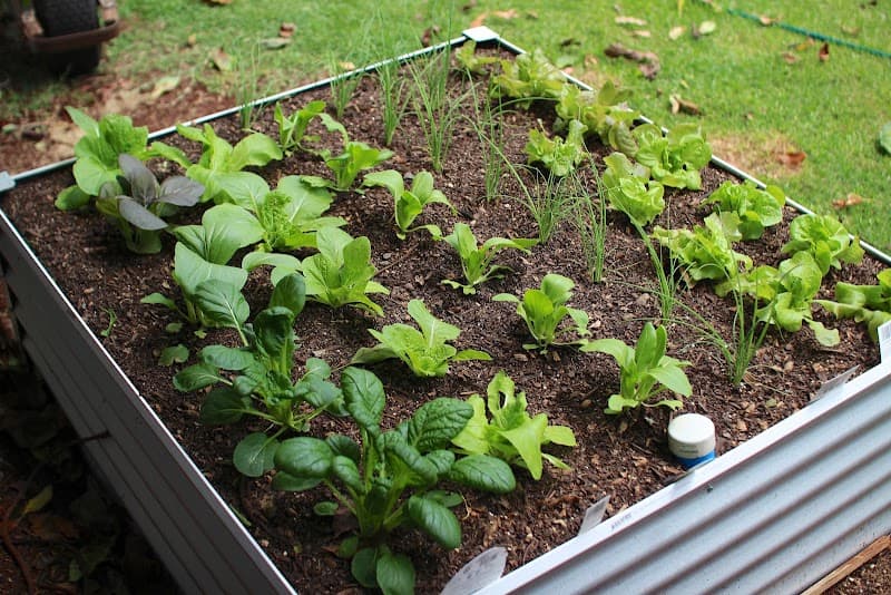 Watersaver Gardens landscaping work in Toowoomba City