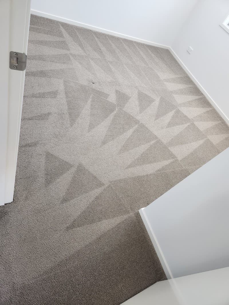 Watters floorcare. Carpet and pest service carpet cleaning work in Clontarf