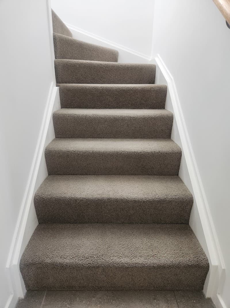 Watters floorcare. Carpet and pest service carpet cleaning work in Clontarf