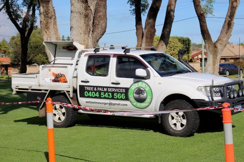 Webb's Tree Surgery tree services work in Port Kennedy