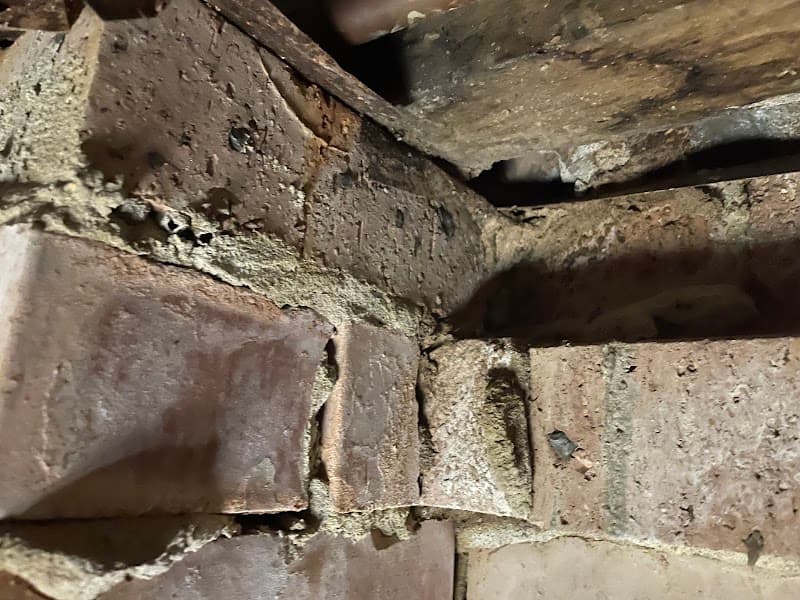 Western Pest Management pest control work in Cranebrook