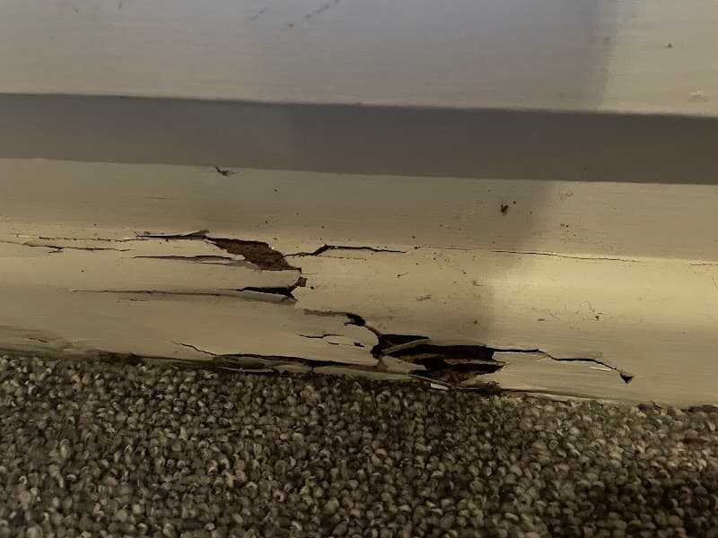 Western Pest Management pest control work in Cranebrook