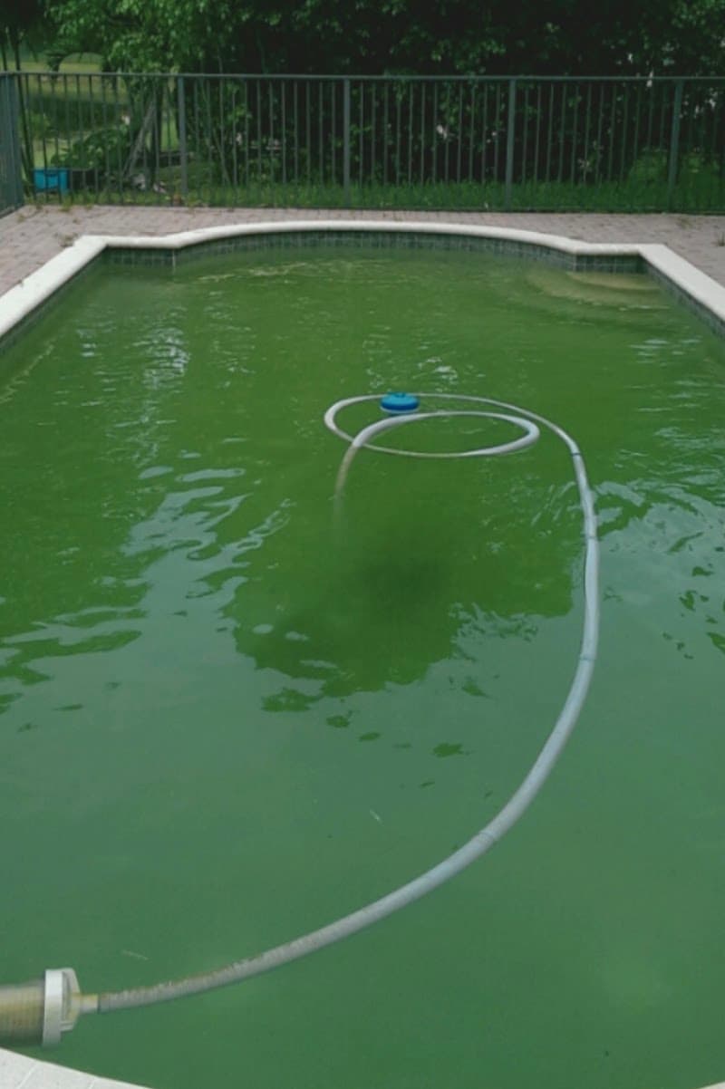 Western Pool Care pool maintenance work in Eglinton