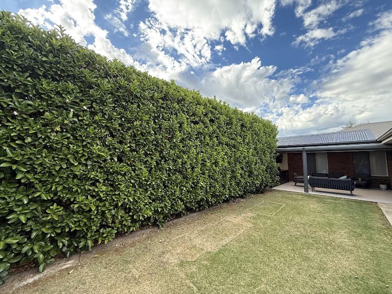 Westside Yard Care gardening work in Highton