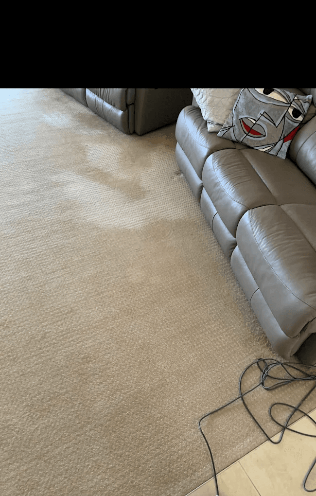 What Mess Cleaning Services,What Mess Carpet Cleaning carpet cleaning work in Willetton