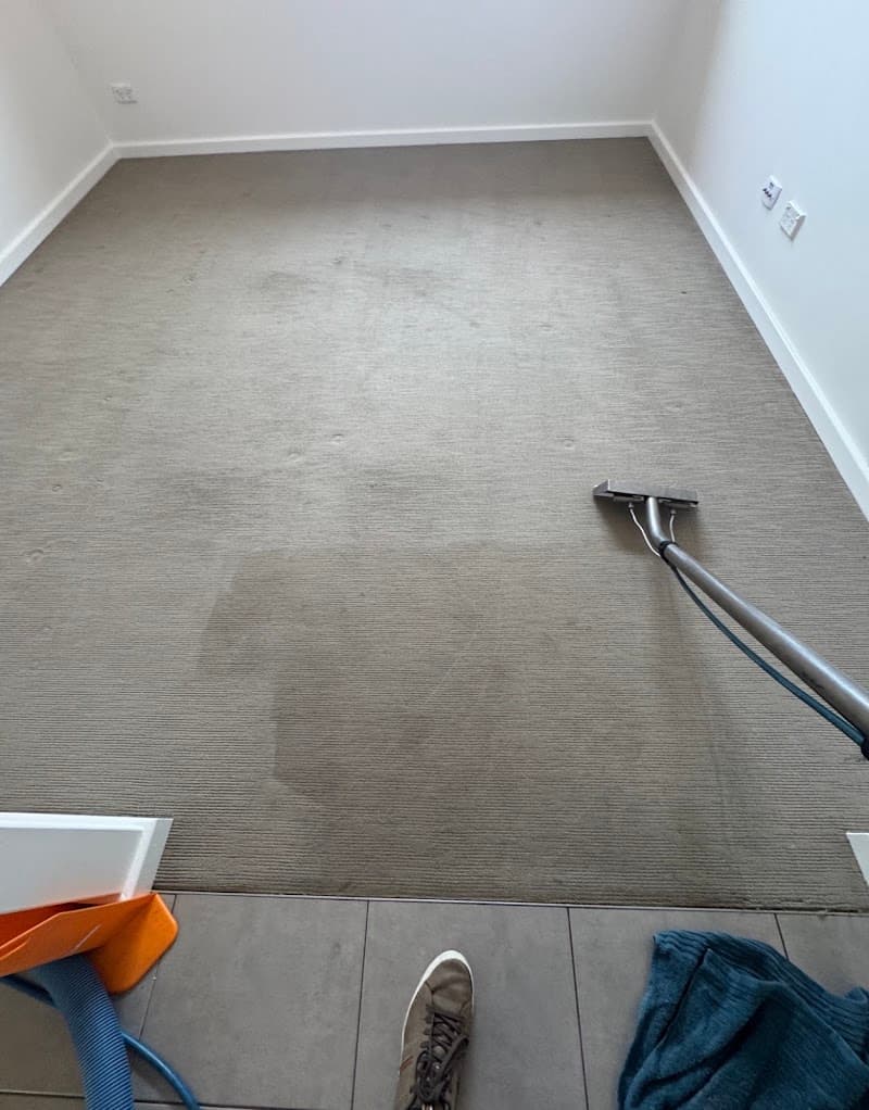 What Mess Cleaning Services,What Mess Carpet Cleaning carpet cleaning work in Willetton
