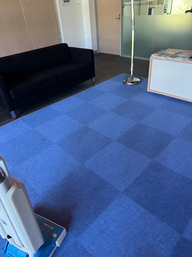 What Mess Cleaning Services,What Mess Carpet Cleaning carpet cleaning work in Willetton