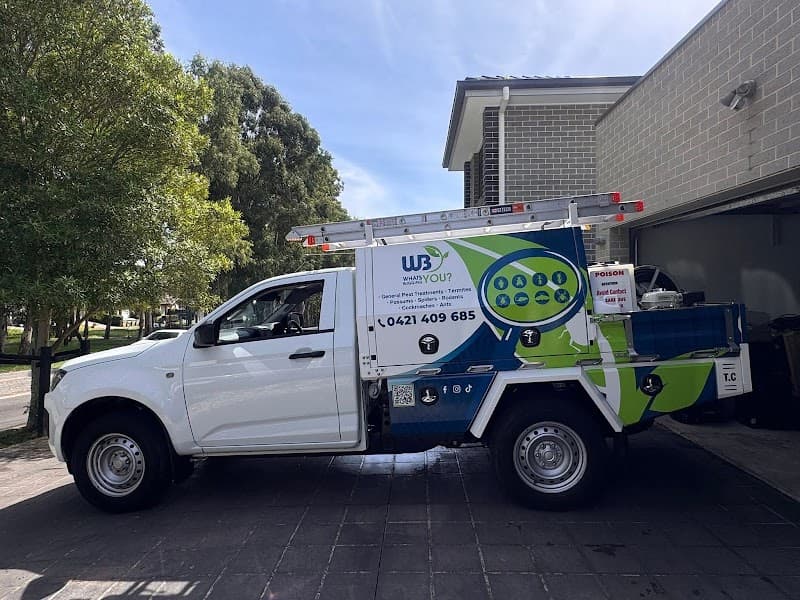 What's Bugging You? pest control work in Penrith