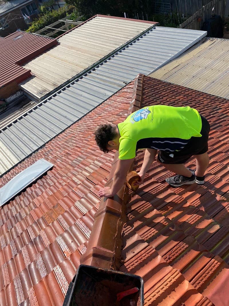 Whitewash - Sydney Pressure Cleaning Services pressure washing work in Strathfield South
