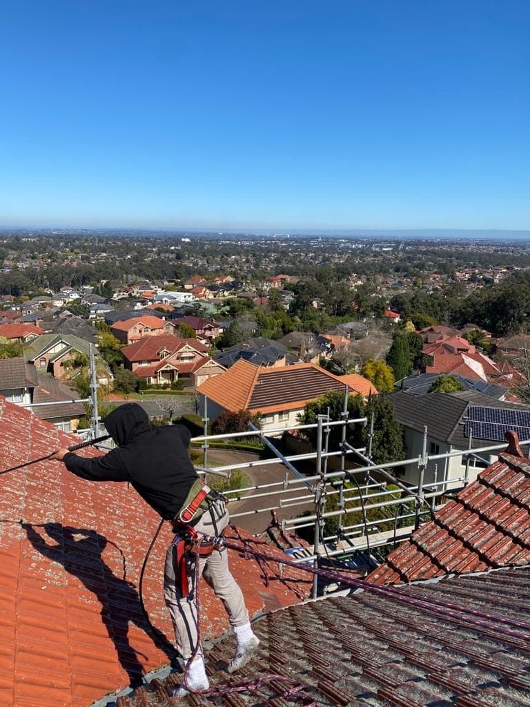 Whitewash - Sydney Pressure Cleaning Services pressure washing work in Strathfield South