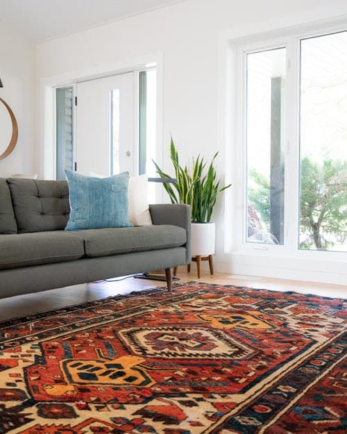 Who Who Carpet Cleaning and Pest Management carpet cleaning work in Capalaba