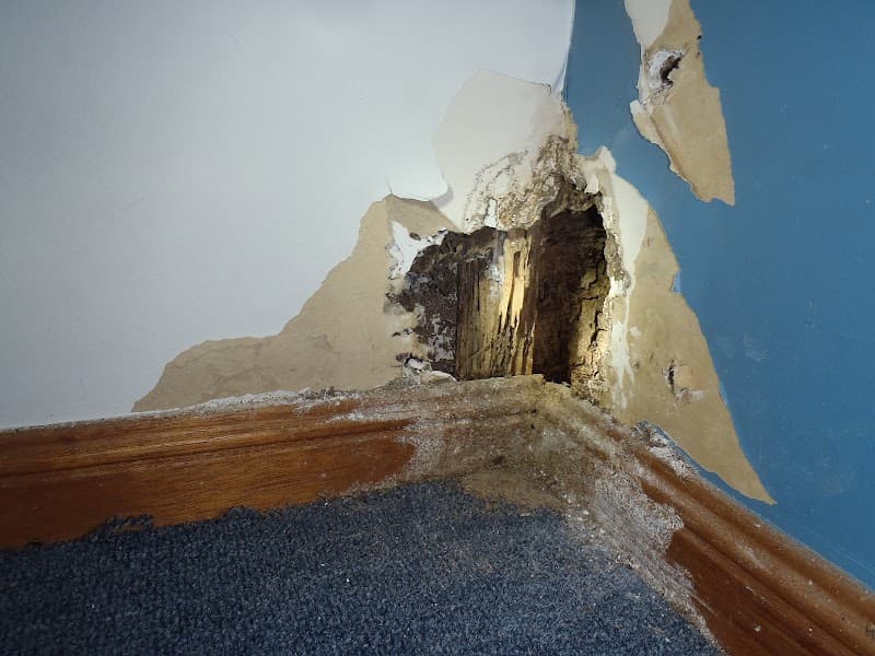 Wide Bay-Burnett Pest Management pest control work in Bundaberg North