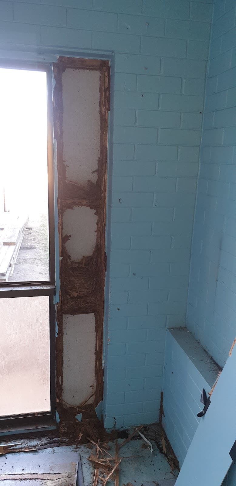 Wide Bay-Burnett Pest Management pest control work in Bundaberg North