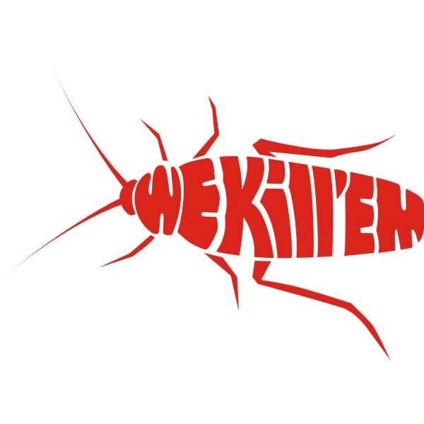 Wide Bay Termite Solutions pest control work in Maryborough