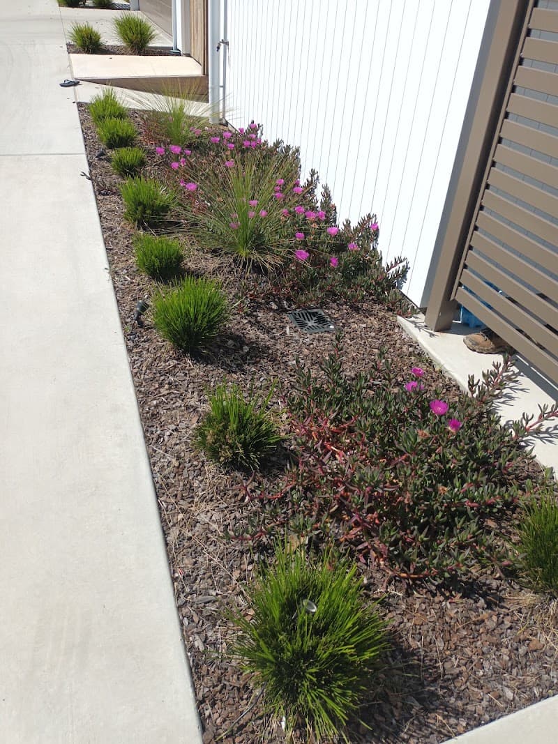 Wide Bay Turf Laying & Landscaping gardening work in Booral