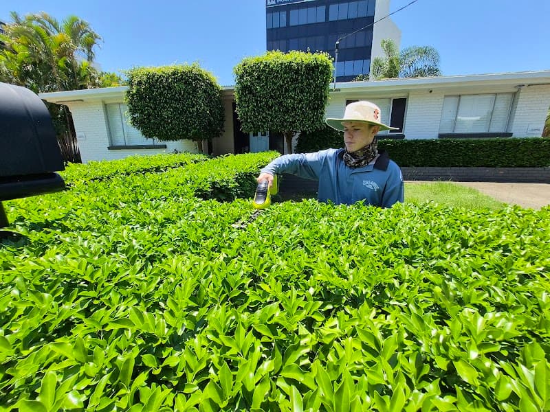 Will’s Lawn Mowing & Trimming Service lawn care work in Bundall