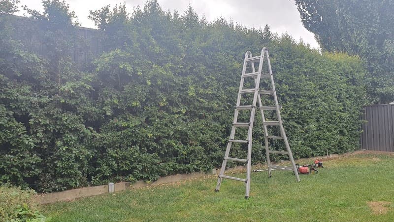 Wise Mowing and More handyman work in Eaglehawk
