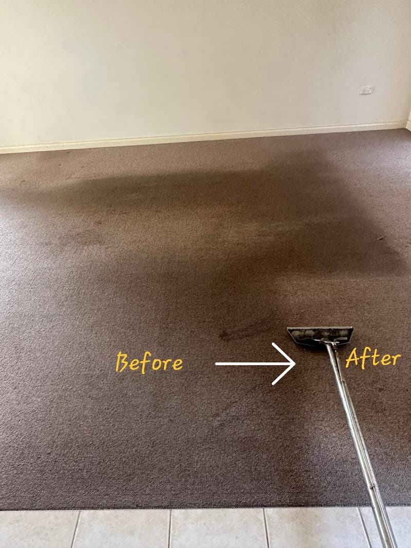 Wizard Carpet, Tile And Grout Cleaning Melbourne carpet cleaning work in Melbourne