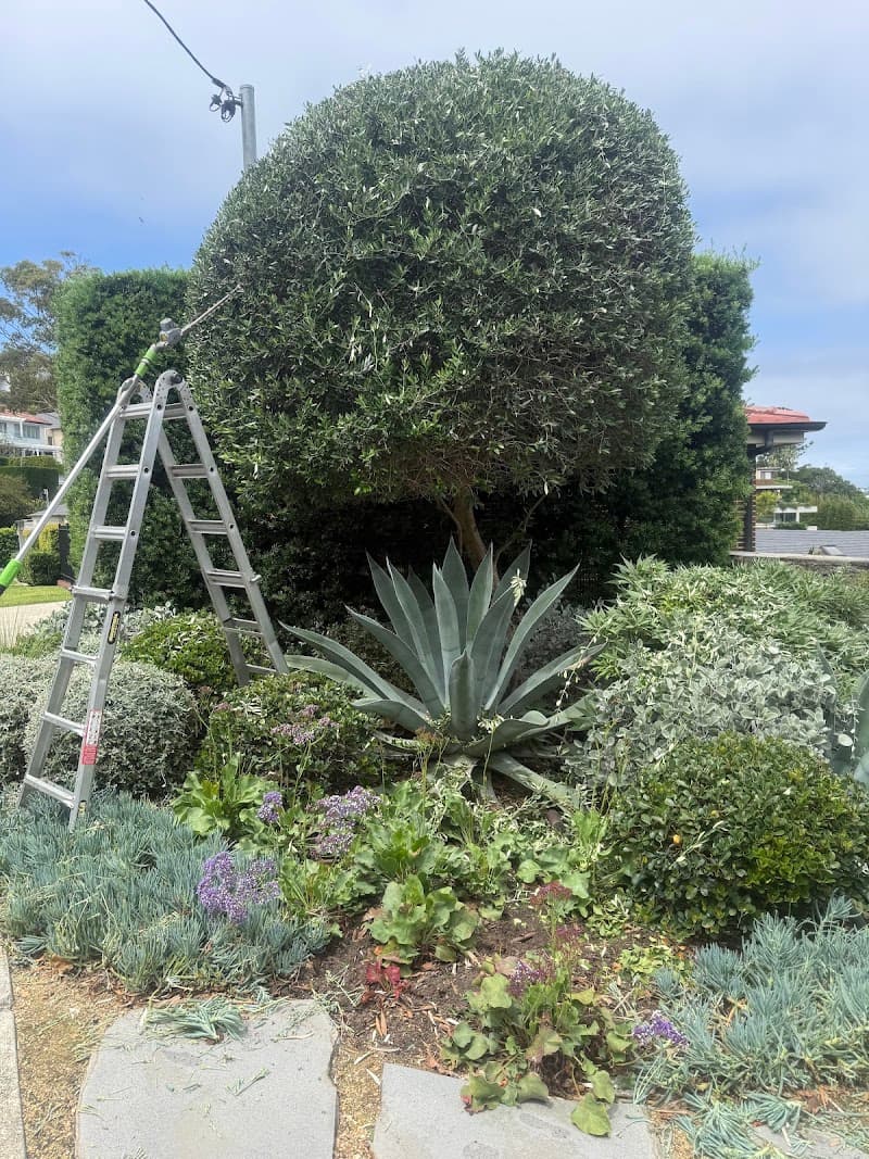 Woodland Lawnmowing & Gardening lawn care work in Cremorne Point