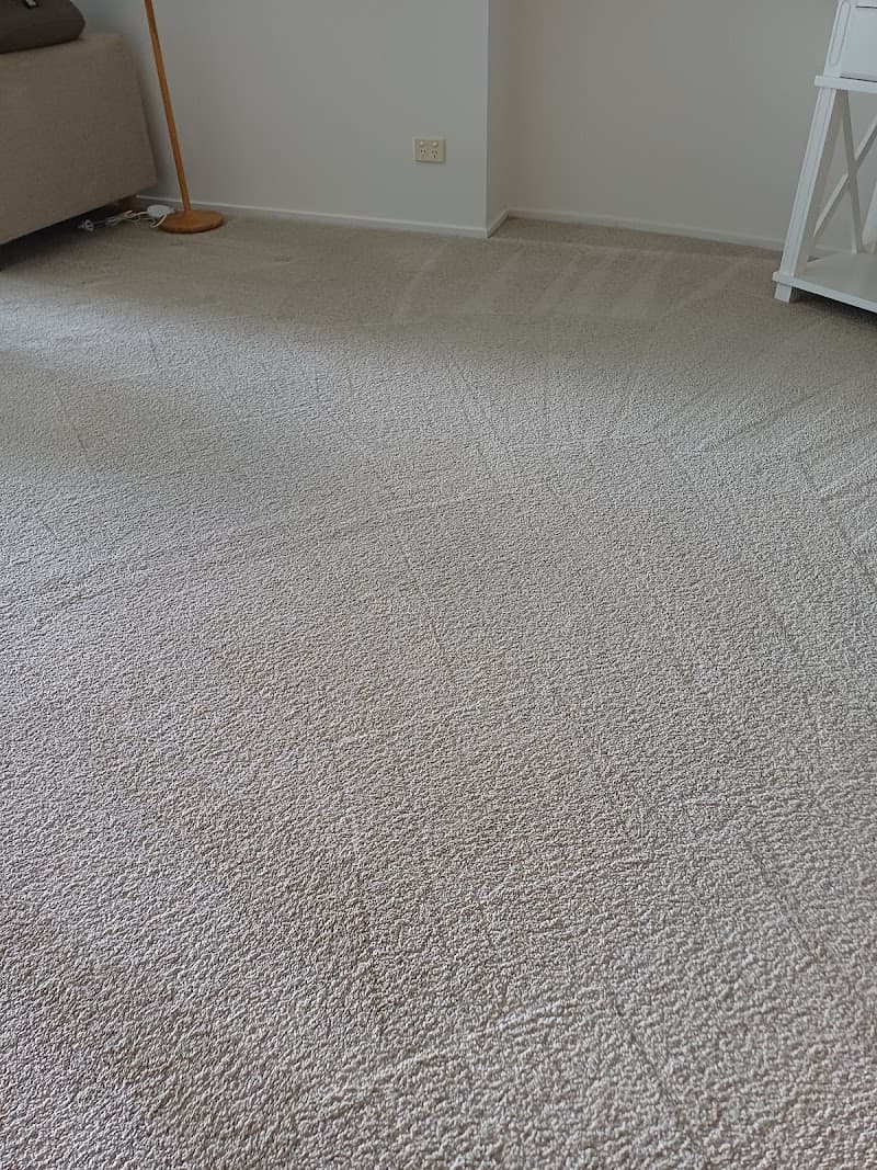 Wow Carpet Cleaning Brisbane carpet cleaning work in Brisbane City