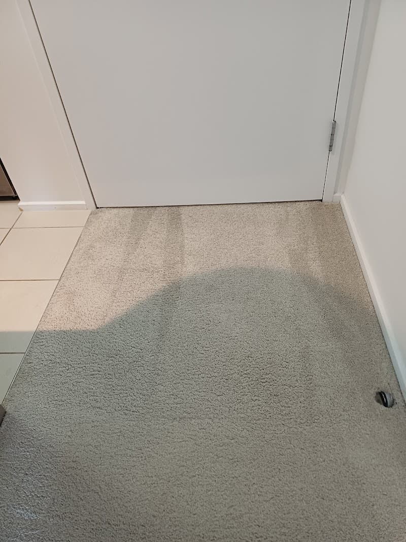 Wow Carpet Cleaning Brisbane carpet cleaning work in Brisbane City