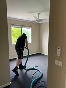 Wow Clean Carpets