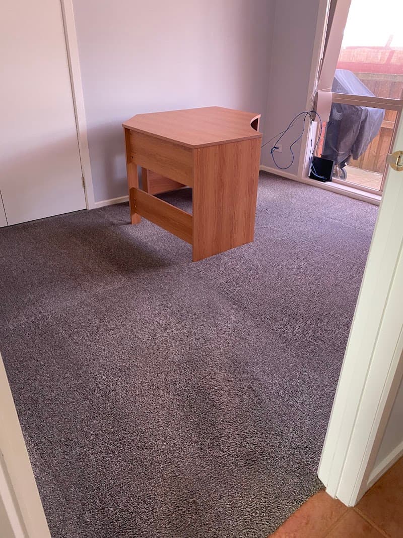 Wow Clean Carpets carpet cleaning work in Breakwater