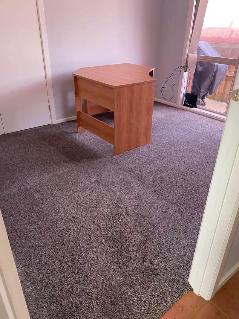 Wow Clean Carpets carpet cleaning work in Breakwater