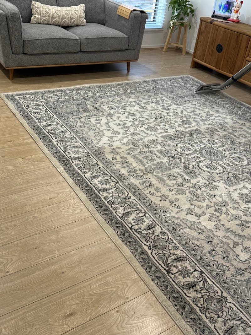 Wow Clean Carpets carpet cleaning work in Breakwater