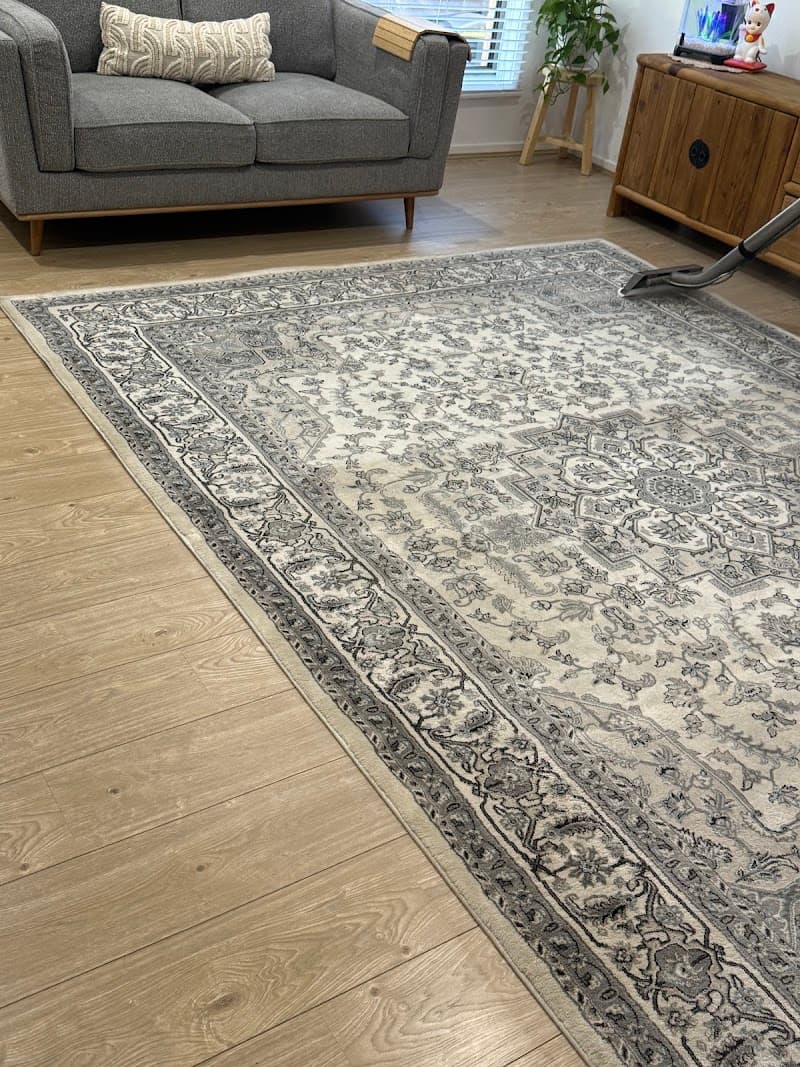 Wow Clean Carpets carpet cleaning work in Breakwater