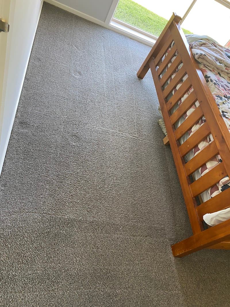 Wow Clean Carpets carpet cleaning work in Breakwater