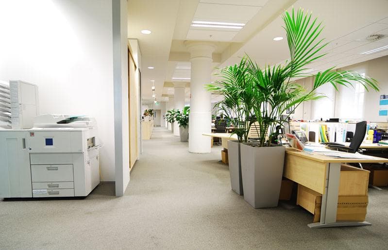 WOW Facility Cleaning Services oven & bbq cleaning work in Kaleen