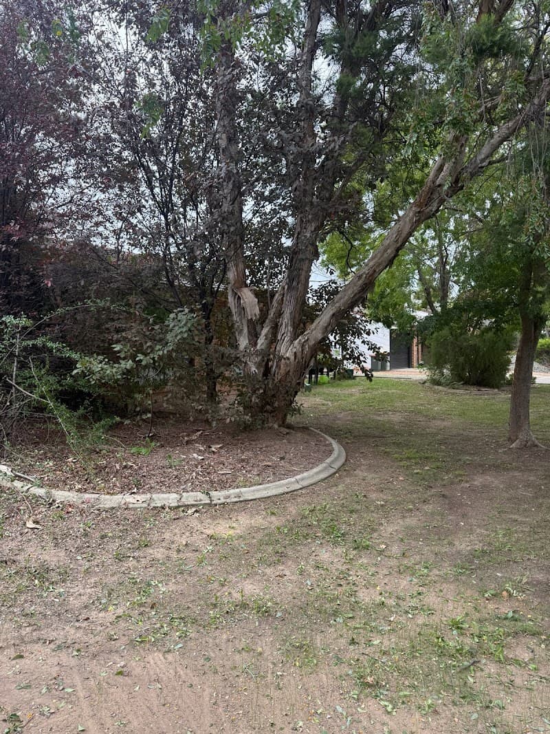 WRIGHT WAY RUBBISH REMOVAL rubbish removal work in Phillip