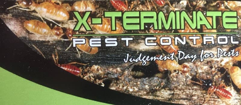 X Terminate Pest Control pest control work in Seaford