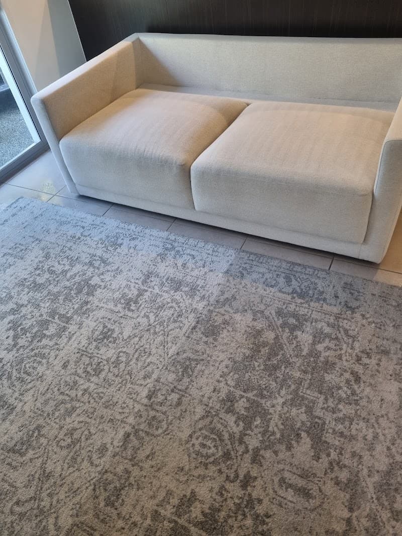 Xpress Carpet Cleaning & Pest Management carpet cleaning work in Augustine Heights