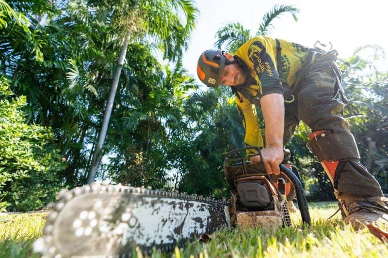 Xtreme Garden Care tree services work in Knuckey Lagoon