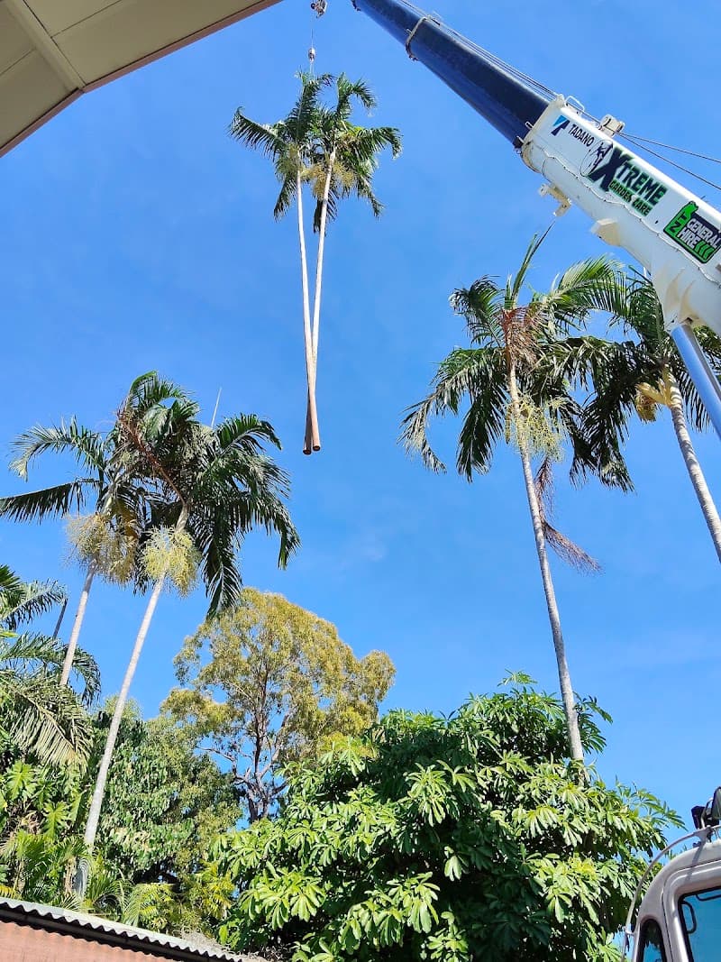 Xtreme Garden Care tree services work in Knuckey Lagoon
