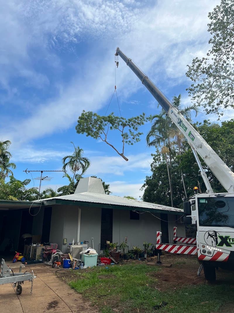 Xtreme Garden Care tree services work in Knuckey Lagoon