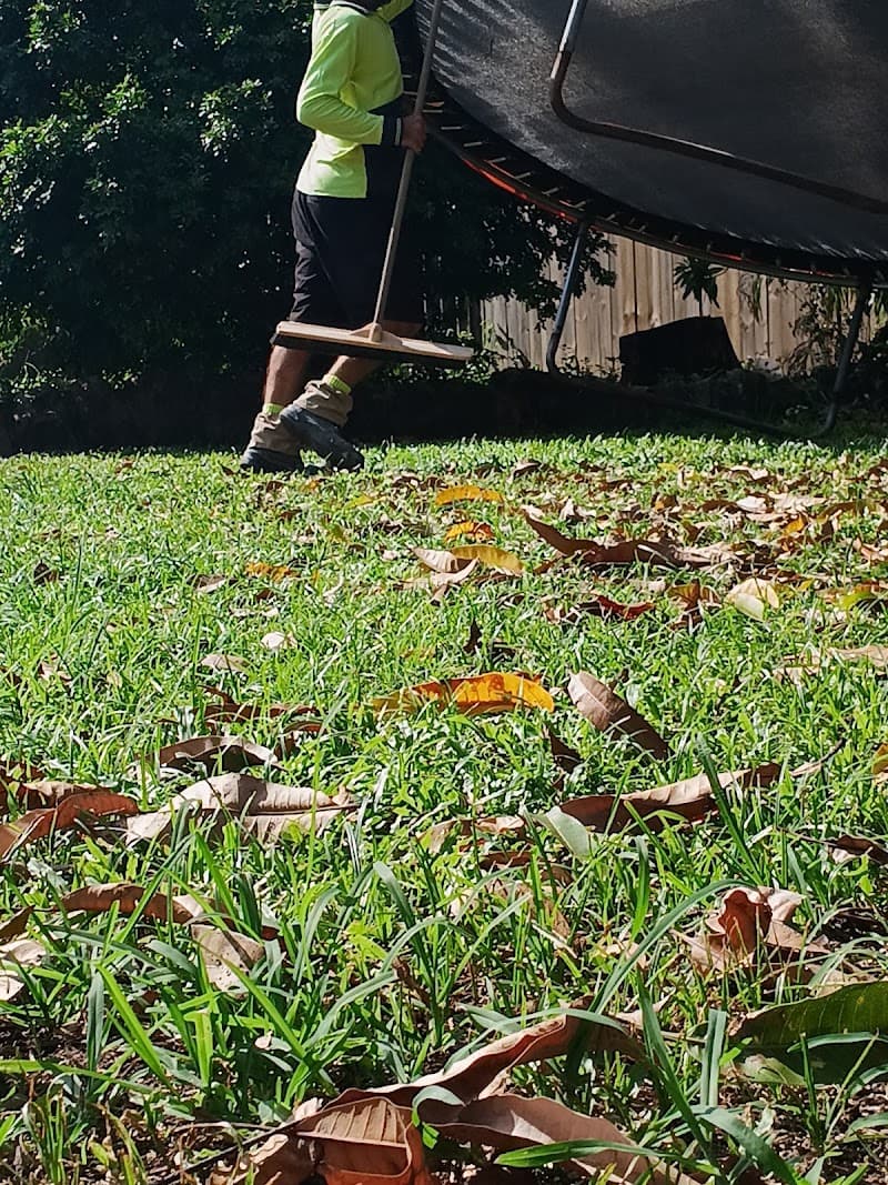 Yanzy's Lawn care lawn care work in Aitkenvale