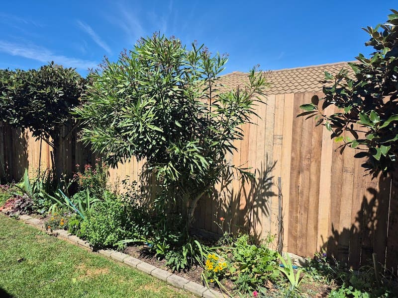 Yard To Yard Fencing fencing work in Burra