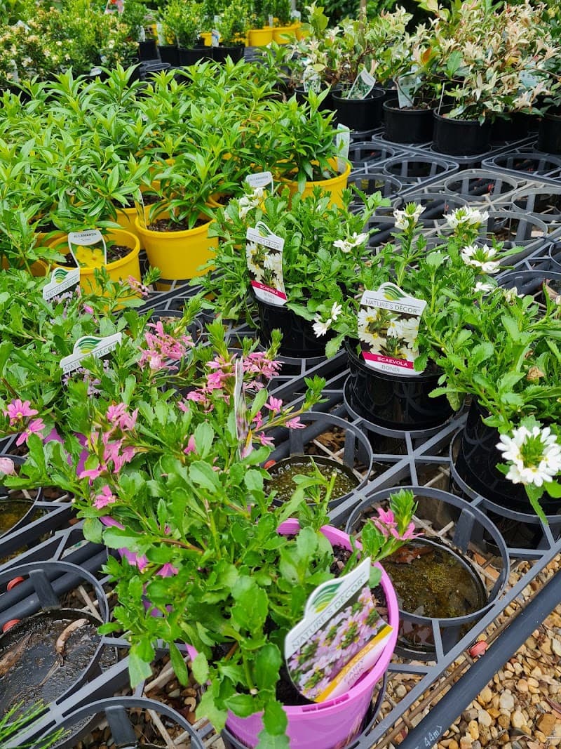 Yarrandoo Nursery gardening work in Park Avenue