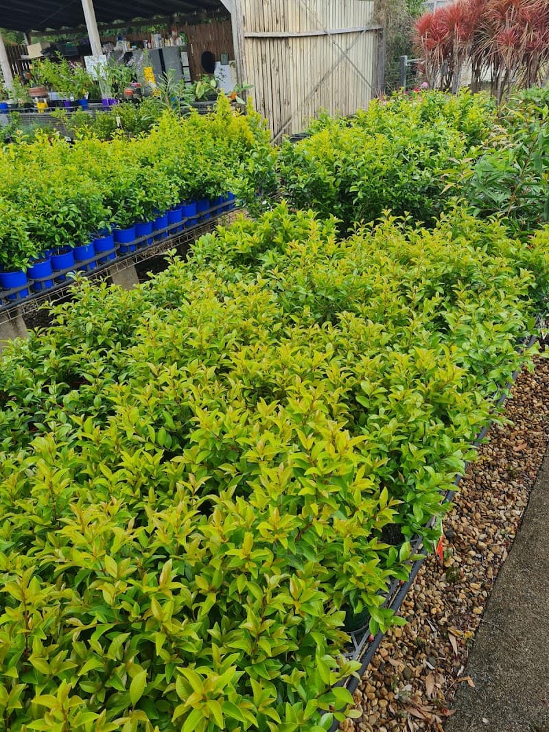 Yarrandoo Nursery gardening work in Park Avenue